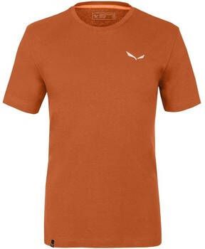 Salewa T-shirt Pure Dolomites Hemp Men's T-Shirt 28329-4170