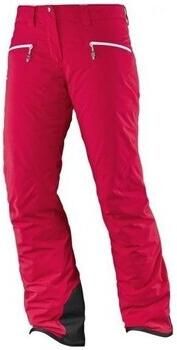 Salomon Broek Whitecliff Gtx W