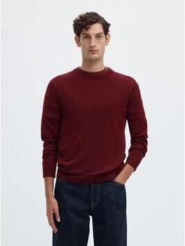 Selected Trui 16094647 TRAY MERINO CREW.-TAWNY PORT