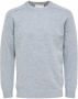 SELECTED HOMME Heren Truien & Vesten Newcoban Lambs Wool Crew Neck W Grijs - Thumbnail 2