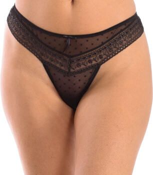 Selene Strings TGCASANDRA-MARRON