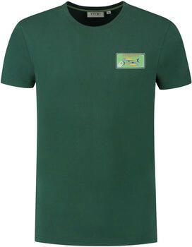 Shiwi T-shirt T-Shirt Sardines Cilantro Green