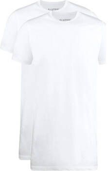 Slater T-shirt 2-pack T-shirt V-neck Wit