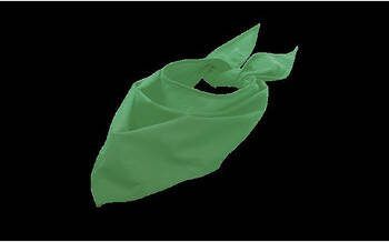 Sols Sjaal Prairiegroene bandana neksjaalaccessoire