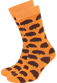 Suitable Socks Kubo Bossche Bol Sokken Oranje