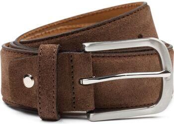 Suitable Riem Suède Leer Bruin
