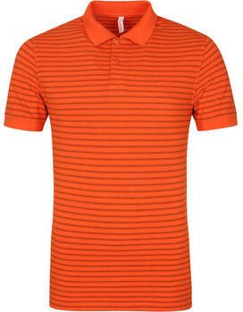 Sun68 T-shirt Polo Cold Dye Stripes Oranje