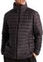 Superdry Windjack 176881 - Thumbnail 2