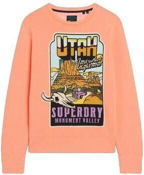 Superdry Sweaters Sweatshirt orange ample unisexe