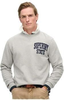 Superdry Sweaters Sweatshirt Vintage Athletic gris