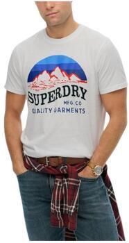 Superdry T-shirt Korte Mouw M1012240A 01C
