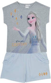 TEAM HEROES Setjes FROZEN SET