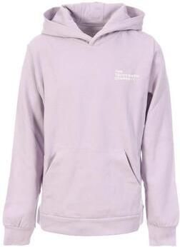Teddy smith Capuchon sweaters Hoody