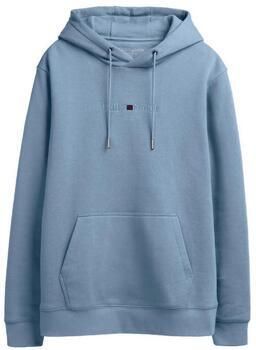 Teddy smith Capuchon sweaters Hoody