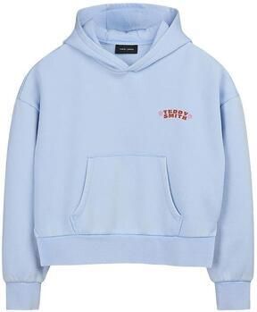 Teddy smith Capuchon sweaters Hoody