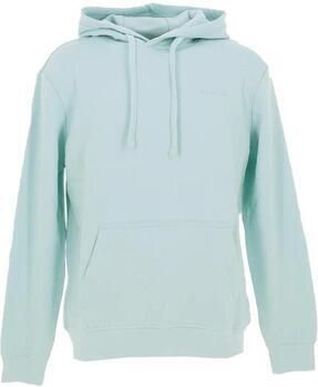 Teddy smith Capuchon sweaters nark Hoody