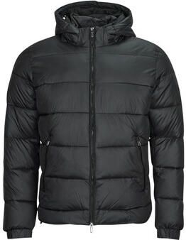 Teddy smith Donsjas B-LESLIE