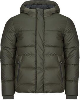 Teddy smith Donsjas ELTON