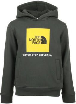 The North Face Sweater Box Hoodie Kids