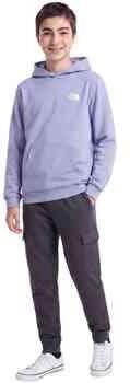 The North Face Evolution Box NSE sweater met backprint lila Paars Backprint