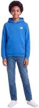 The North Face Evolution Box NSE sweater met backprint blauw Backprint