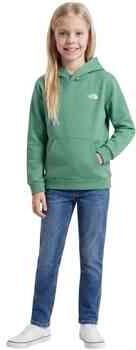 The North Face Evolution Simple Dome sweater groen Effen