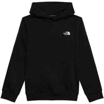 The North Face Capuchon sweaters Evolution Simple Dome