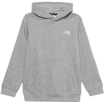 The North Face Capuchon sweaters Evolution Simple Dome
