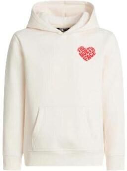 The North Face Capuchon sweaters NF0A8G1R