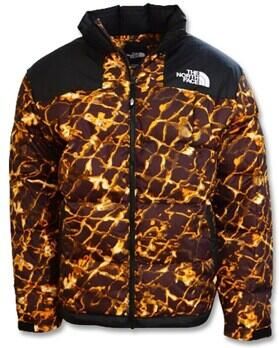 The North Face MultiColour Jassen voor Outdoor Avonturen Multicolor Heren - Foto 2