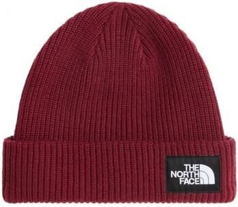 The North Face Muts Salty Lined Beanie