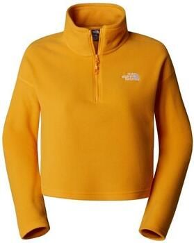 The North Face Sweater W 100 Glacier