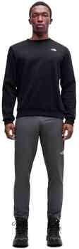 The North Face regular fit sweatshirt model "EVOLUTION"