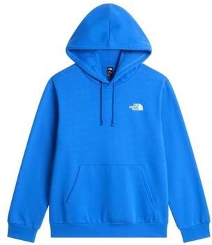The North Face Sweaters M Evo Box Nse Reg Hd