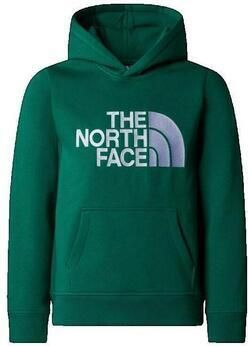 The North Face Trui Drew Peak P O