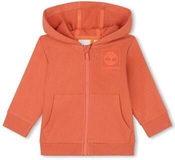Timberland Capuchon sweaters T60115