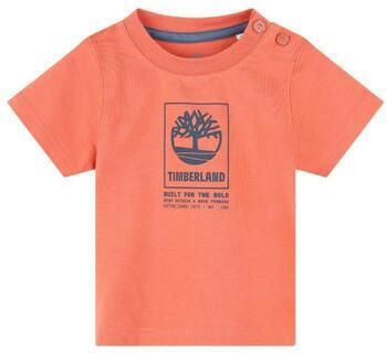 Timberland T-shirt Korte Mouw T60100