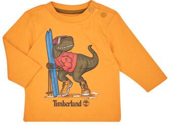 Timberland T-Shirt Lange Mouw TEE-SHIRT MANCHES LONGUES T60253