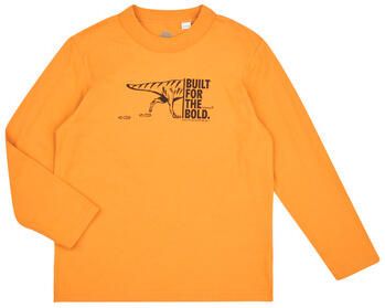 Timberland T-Shirt Lange Mouw TEE-SHIRT MANCHES LONGUES T60301