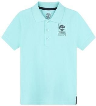 Timberland T-shirt T60061