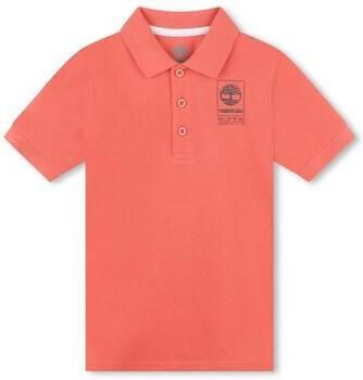 Timberland T-shirt T60061