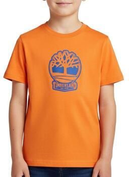 Timberland T-shirt T60422