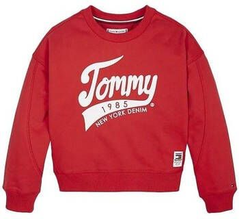 Tommy Hilfiger Sweater