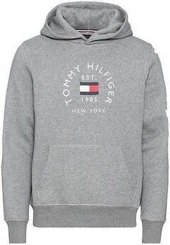 Tommy Hilfiger Sweater Flag Arch