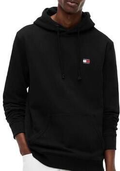 Tommy Hilfiger Capuchon sweaters Badge