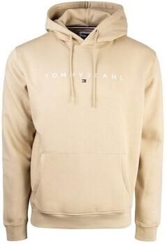 Tommy Hilfiger Capuchon sweaters DM0DM17985AB9