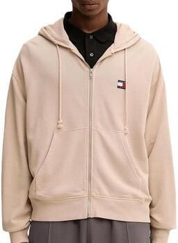 Tommy Hilfiger Capuchon sweaters DM0DM22080