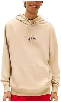 Tommy Hilfiger Capuchon sweaters DM0DM23015 AB9