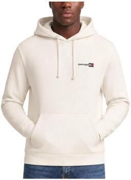 Tommy Hilfiger Capuchon sweaters DM0DM23393 P08