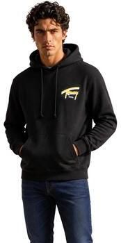 Tommy Hilfiger Capuchon sweaters DM0DM23583